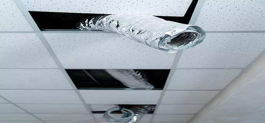 Affordable HVAC Sanitizing After Pest Removal in Huntington Beach