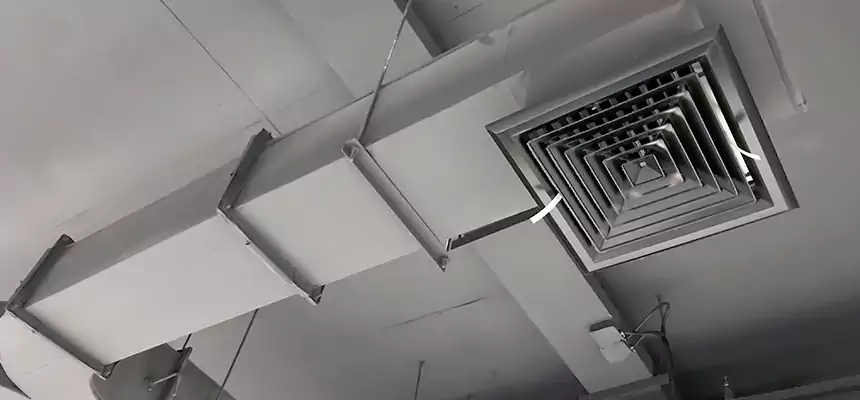 Restorative Allergy Relief Vent Cleaning – Coil, Blower & Housing Detail in Huntington Beach