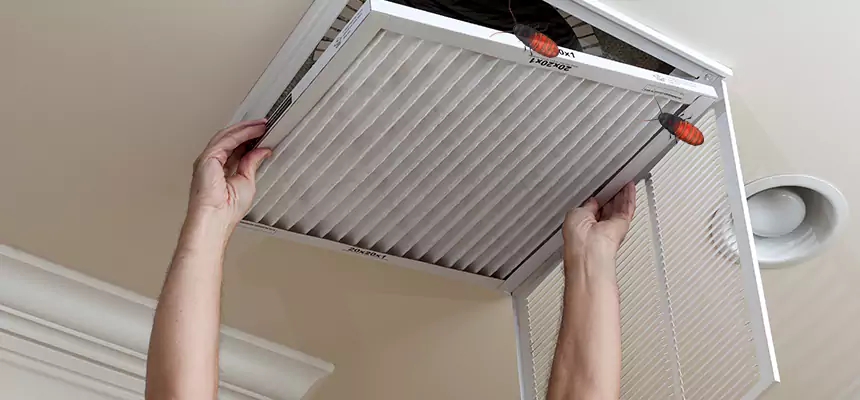 Our Insect Removal from Air Ducts Services in Huntington Beach, CA