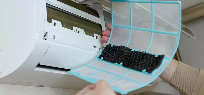 Gentle Ductwork Odor-Control Pet Dander Duct Cleaning in Huntington Beach, CA