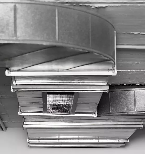 Professional Air Duct Pet Hair Removal in Huntington Beach, CA