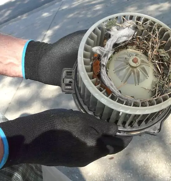 About Air Duct Rat Removal in Huntington Beach, CA