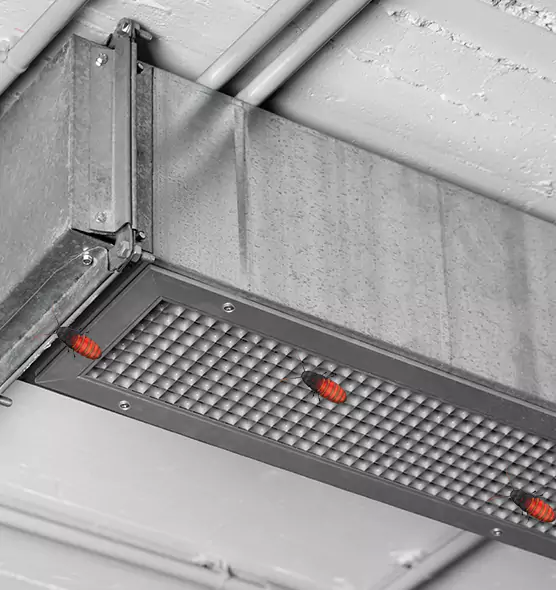 Affordable Insect Removal from Air Ducts in Huntington Beach, CA