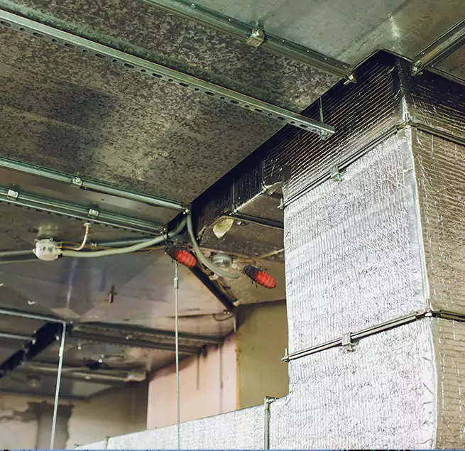 Why Homeowners & Businesses Trust Us in Huntington Beach, CA?