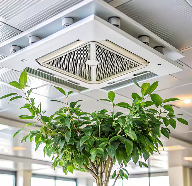 Why Homeowners & Businesses Trust Us in Huntington Beach, CA